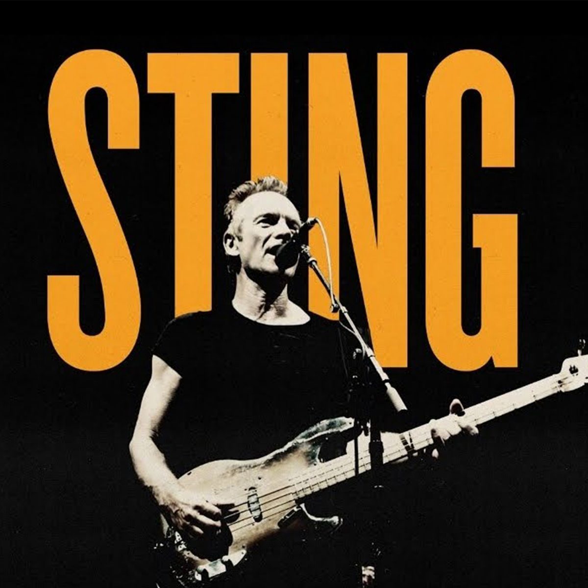 Sting live in Oberhausen - mit uns sichern Sie sich die letzten Tickets zum Originalpreis.