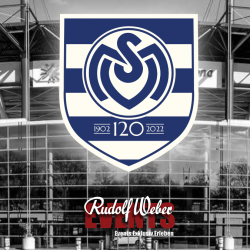 Sichern Sie sich VIP-Tickets für die Heimspiele des MSV Duisburg