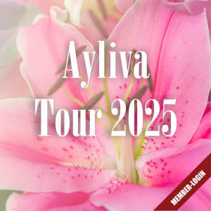 Ayliva: Tickets für die Tour 2025 sichern Sie sich in unserem Shop.