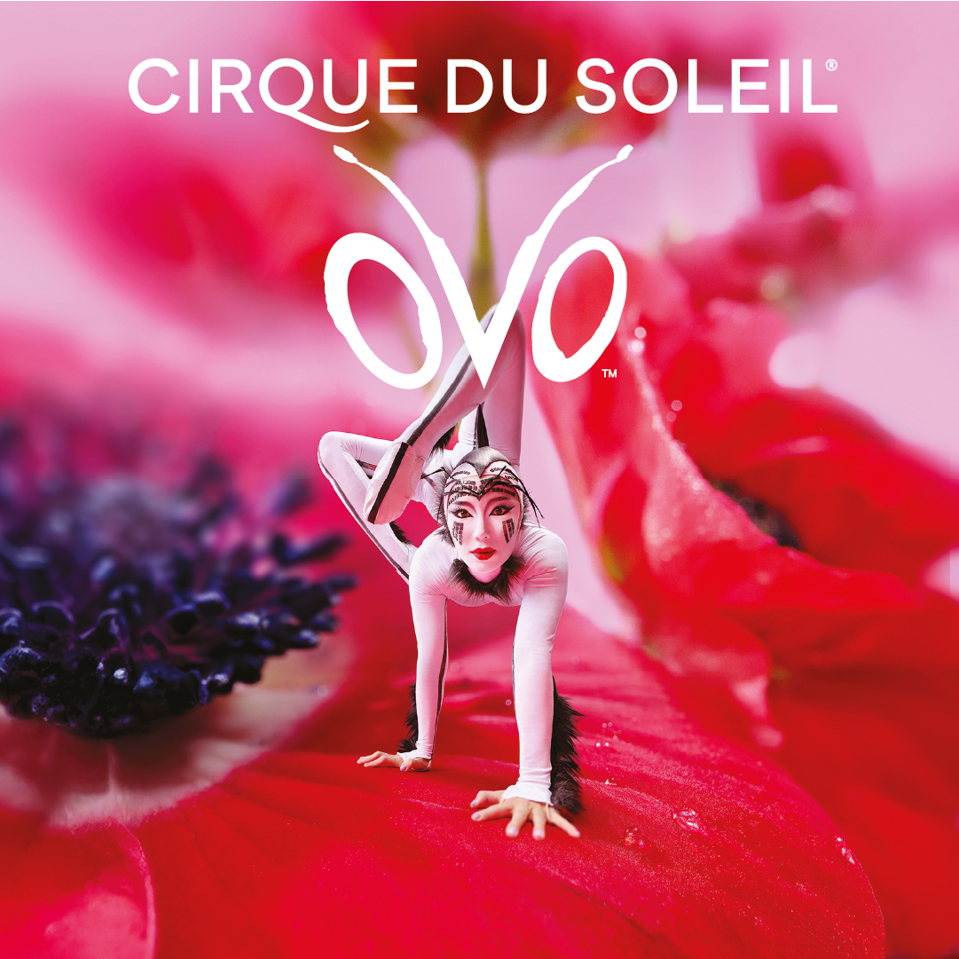 Cirque Du Soleil - OVO: Tickets hier sichern.