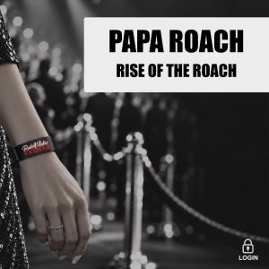 Papa Roach: Tickets hier buchen.